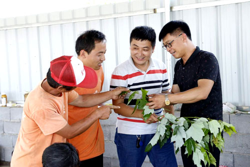 夏日來臨，當(dāng)你吹空調(diào)喊熱的時(shí)候，讓我?guī)阋黄鹱哌M(jìn)東楓園林體驗(yàn)一下東楓人高溫下工作不一樣的夏日風(fēng)采