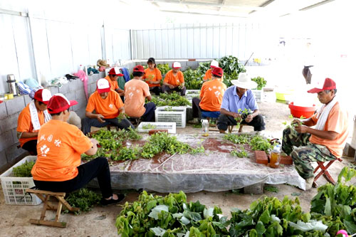 夏日來臨，當(dāng)你吹空調(diào)喊熱的時(shí)候，讓我?guī)阋黄鹱哌M(jìn)東楓園林體驗(yàn)一下東楓人高溫下工作不一樣的夏日風(fēng)采