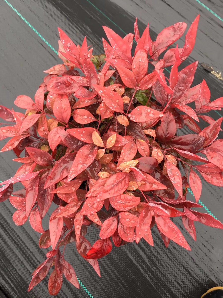 關于品質，我們“用圖”說話