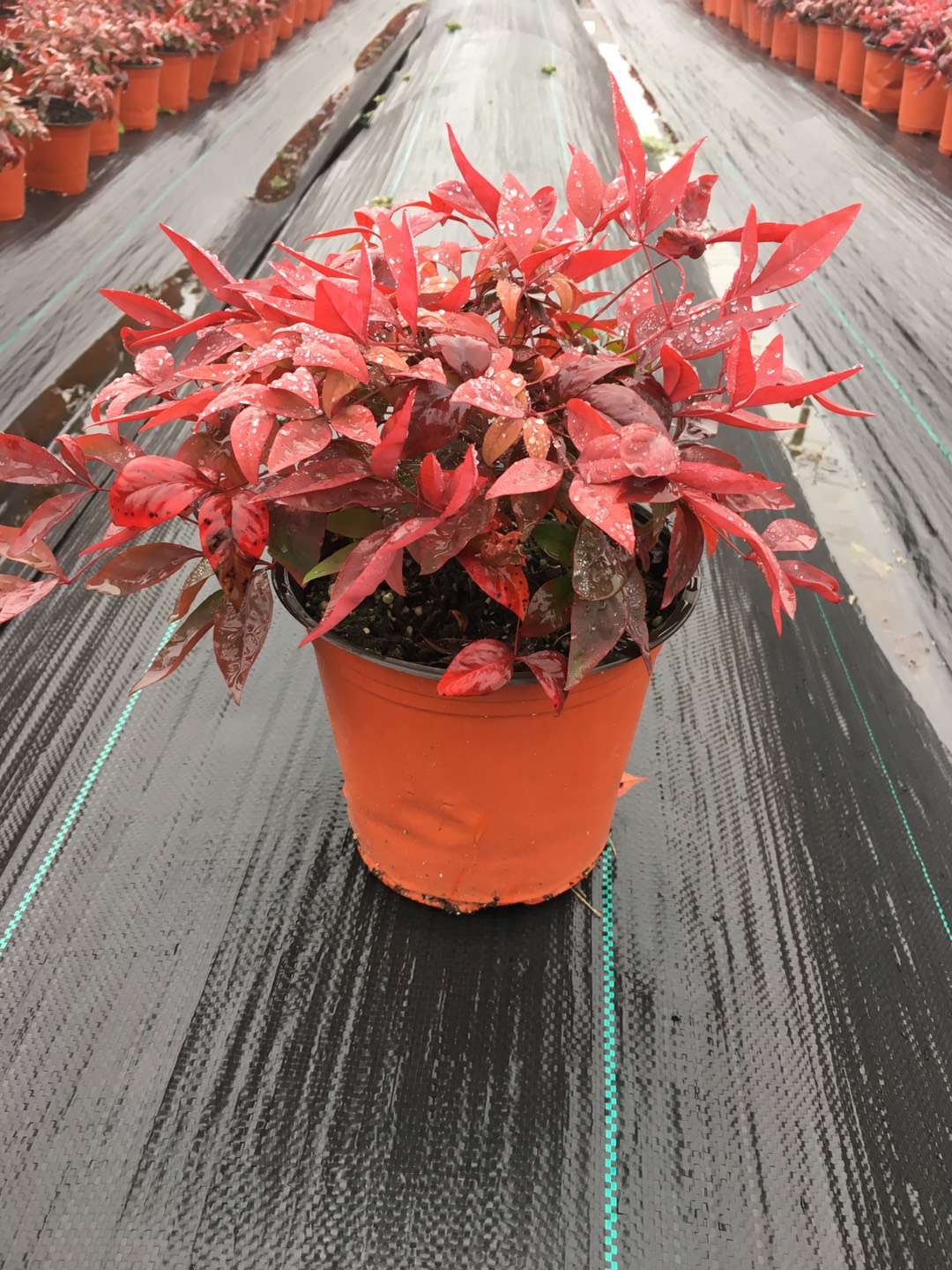 關于品質，我們“用圖”說話