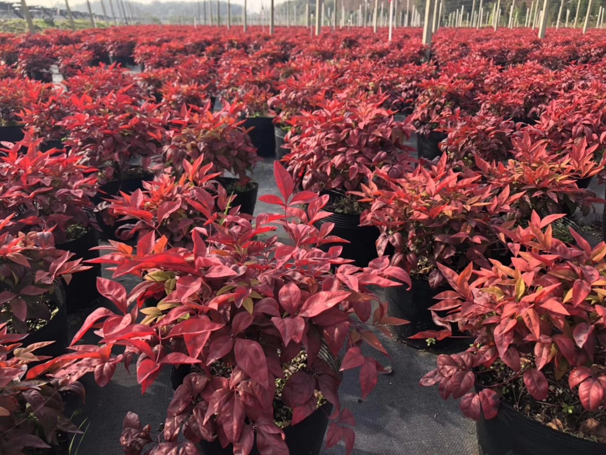 關于品質，我們“用圖”說話