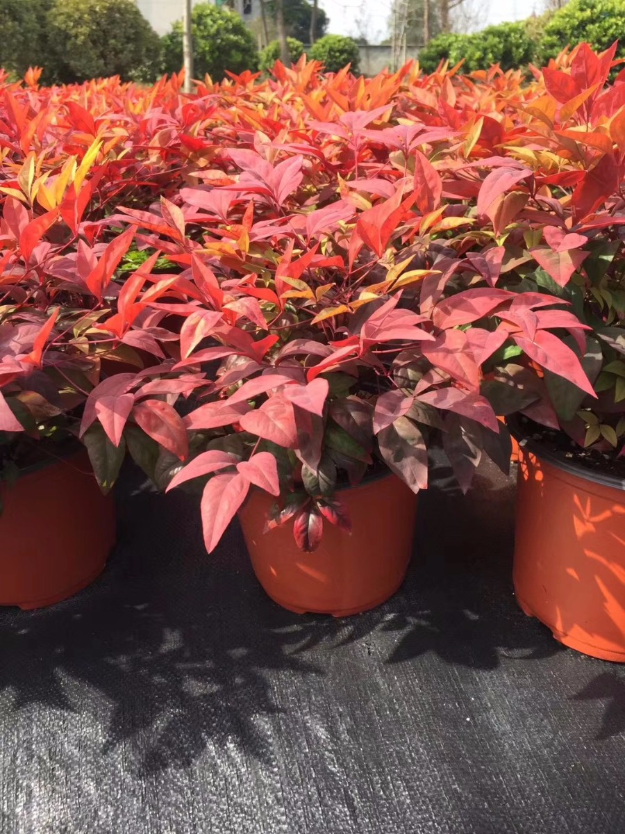 關于品質，我們“用圖”說話